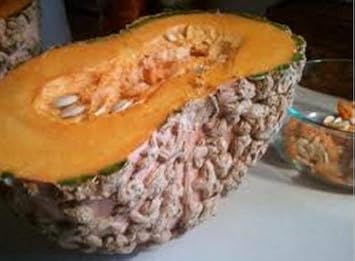 12pcs Brown Pumpkin Fruit Seeds - Hardy and Nutritious Pumpkins for Fall Harvest 100 pcs